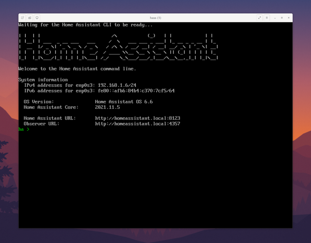 Home Assistant CLI